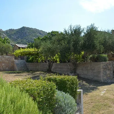 Garina *